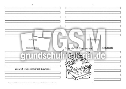 Blaumeise-Faltbuch-vierseitig.pdf